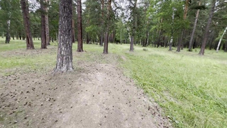 Порно актриса Lika Busy